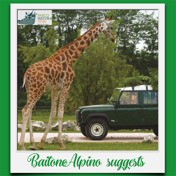 BaitoneAlpino suggests: Parco Natura Viva